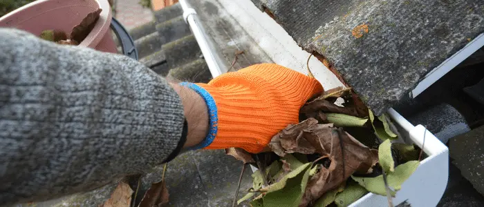 Professional Gutter Cleaning Services, Gutter Cleaning Near Me, gutter cleaning North Carolina, gutter cleaning cost